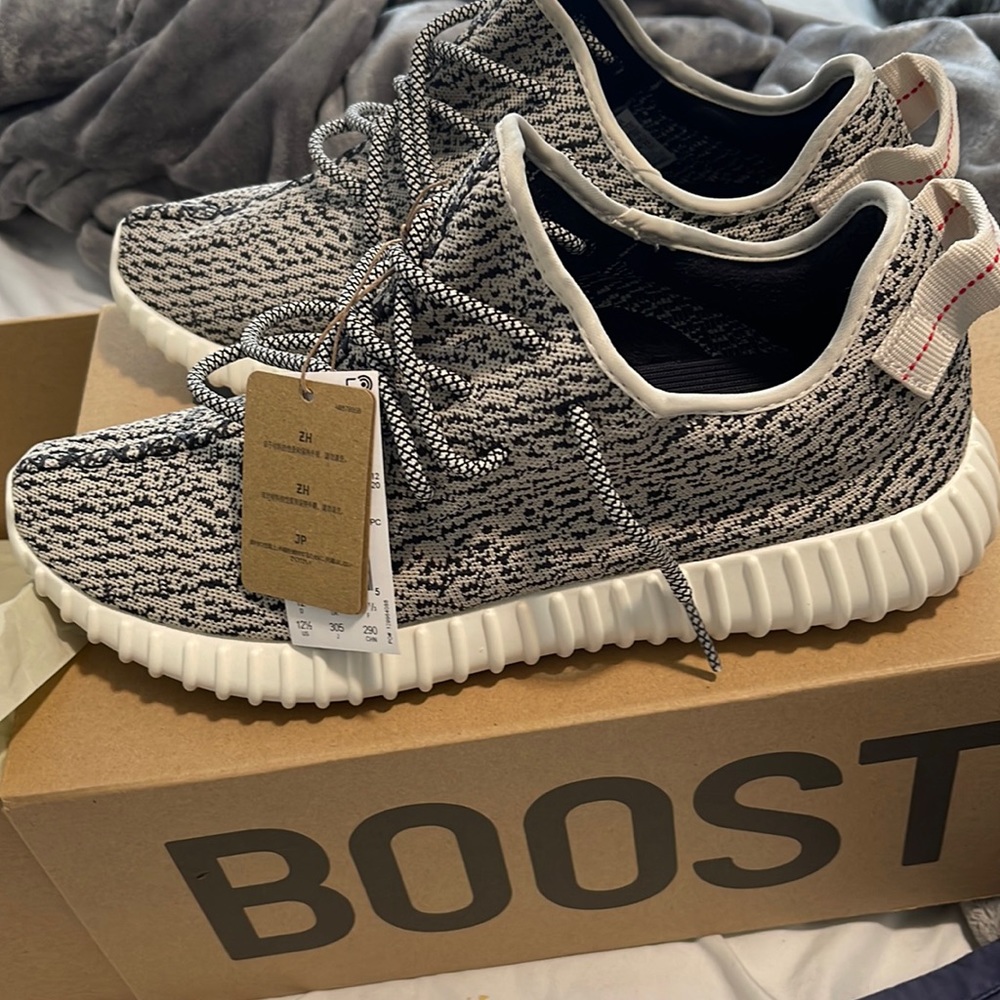 Yeezy turtle dove size 12.5